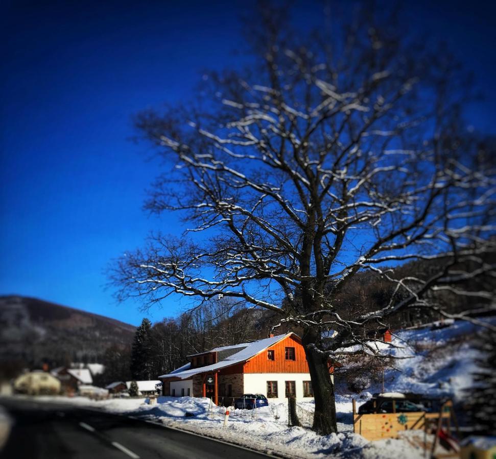 Chata U Cecila Loučná nad Desnou Extérieur photo