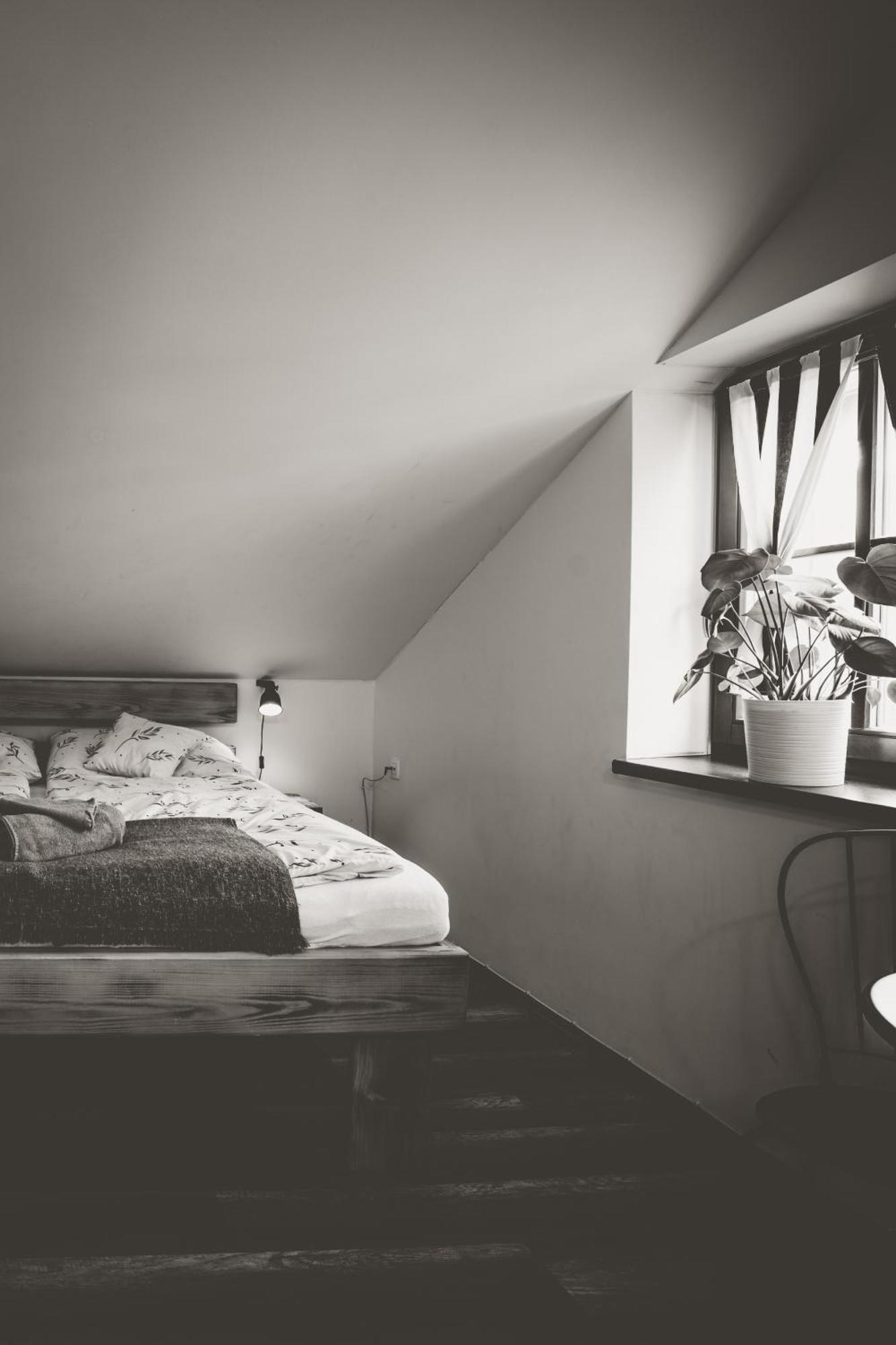 Chata U Cecila Loučná nad Desnou Extérieur photo